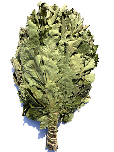 Веник дубовый ПРОМО