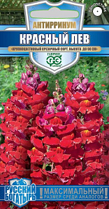 Гелихризум (бессмертник)_Низкорослая см_0,1_г._Поиск