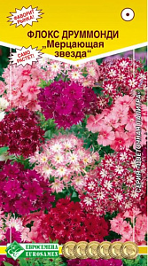 Флокс_Мерцающая звезда см (Цветочная Палитра)_0,04_шт._ЕВРОСЕМЕНА