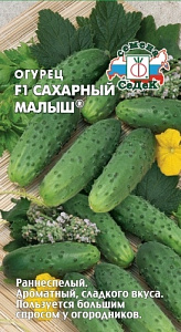 Огурец_Сахарный малыш F1_0,2_г._Седек