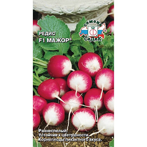 Редис_Мажор_2_г._Седек