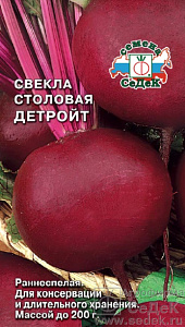 Свекла_Детройт_3_г._Седек