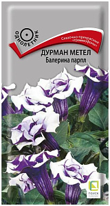 Датура (дурман)_Балерина парпл_3_шт._Поиск