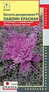Капуста_декоративная_Павлин Красная F1_0,04_шт._Плазменные семена