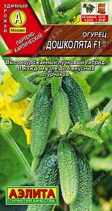 Огурец_Дошколята F1_0,3_г._Аэлита