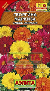 Георгин_Маркиза махр см_10_шт._Аэлита