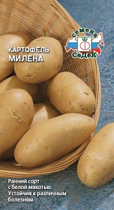 Картофель_Милена у/ск_0_г._Седек