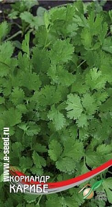 Кориандр (кинза)_Карибе_90_шт._Дом Семян С-П