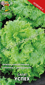 Салат_Успех (лист)_1_г._Поиск