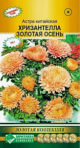 Астра_Хризантелла Золотая Осень (Золотая Коллекция)_5_шт._Евросемена