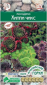 Молодило_Хиппи Чикс (Альпийская Горка)_5_шт._Евросемена