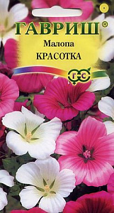 Малопа_Красотка см_0,1_г._Гавриш