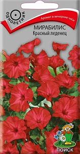 Мирабилис_Красный Леденец_0,04_г._Поиск