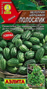 Мелотрия_Полосатик (мышиная дыня)_0_г._Аэлита