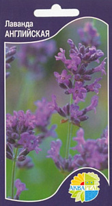 Лаванда_Узколистная (Английская)_0,1_г._Акварель