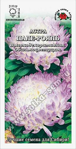 Астра_Пале-Рояль (пионовидная)_0,2_г._Золотая Сотка Алтая