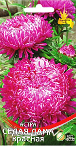 Астра_Седая дама красная (пионовидная)_35_шт._Дом Семян С-П