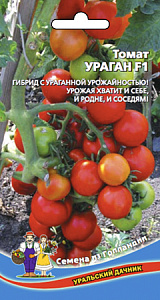 Томат_Ураган F1_20_шт._Уральский Дачник