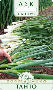 Лук_Танто батун (многолетний)_0,04_г._Биотехника