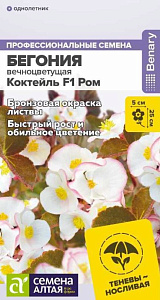 Бегония_Коктейль F1 Ром (вечноцветущая)_0,04_шт._Семена Алтая