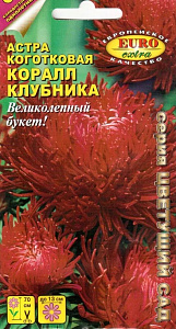 Астра_Коралл Клубника (хризантемовидная)_0,1_г._Аэлита Э