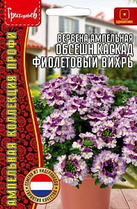 Вербена_Обсешн Фиолетовый Вихрь (ампельная) б/ф_3_шт._Григорьев
