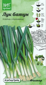 Лук_Фактор батун (многолетний)_0,04_г._АгроСидсТрейд