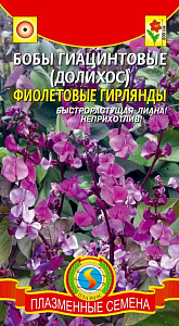 Бобы_Гиацинтовые (долихос) Фиолетовые гирлянды_1_г._Плазменные семена