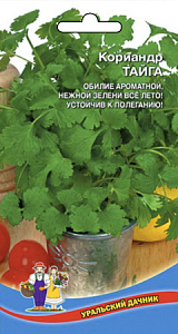 Кориандр (кинза)_Тайга_1_г._Уральский Дачник