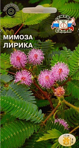 Мимоза_Стыдливая Лирика (розовая)_0,1_г._Седек