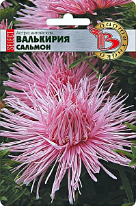 Астра_Валькирия Селект Сальмон (игольчатая)_30_шт._Биотехника