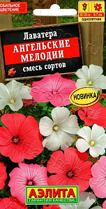 Лаватера (хатьма)_Ангельские Мелодии см_0,04_г._Аэлита