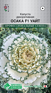 Капуста_декоративная_Осака F1 Уайт (SAKATA проф семена)_8_шт._ЕВРОСЕМЕНА