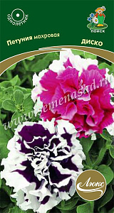 Петуния_Диско см (серия Люкс) (махр)_10_шт._Поиск