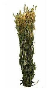 Трава-запарник ТАВОЛГА XXL