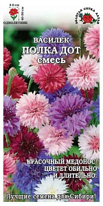 Василек_Полка Дот см_0,04_г._Золотая Сотка Алтая