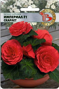 Бегония_Империал F1 Скарлет (клубн)_0,04_шт._Биотехника