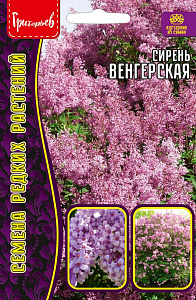 Сирень_Венгерская б/ф_10_шт._Григорьев