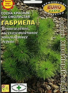 Сосна_Габриела красная б/ф_0,1_г._Аэлита Э