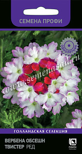 Вербена_Твистер Ред_10_шт._Поиск