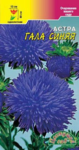 Астра_Гала Синяя (шаровидно-игольчатая)_0,1_г._Цветущий Сад