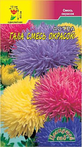 Астра_Гала см (шаровидно-игольчатая)_0,1_г._Цветущий Сад