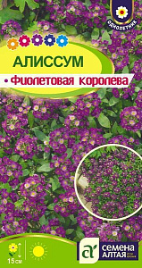 Алиссум (лобулярия)_Фиолетовая королева_0,1_г._Семена Алтая