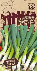 Лук_Робин Гуд (на зелень) (Ленивый огород)_0,04_г._Гавриш