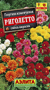 Георгин_Риголетто (низкорослая) см_7_шт._Аэлита