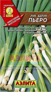 Лук_Пьеро (батун многолетний)_1_г._Аэлита