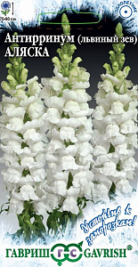 Гелихризум (бессмертник)_Королевский размер Красный_0,1_г._Поиск