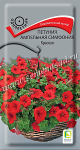 Петуния_Симфония Красная (амп)_0_г._Поиск