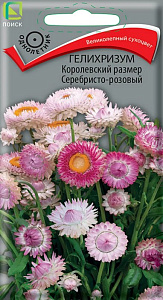 Гелихризум (бессмертник)_Серебристо-Розовый (великолепный сухоцвет)_0,1_г._Поиск