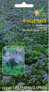 Сидераты, медоносы_Фацелия Пижмолистная/10_10_г._Дом Семян С-П